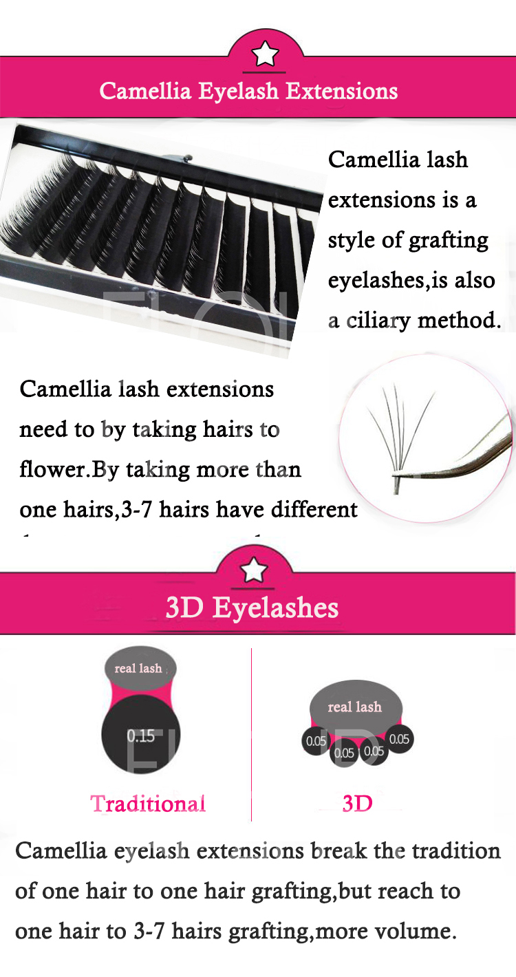 easy flowering camellia eyelash extensions factory supply.jpg